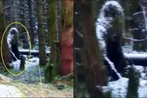 Jalan-jalan di hutan, orang ini tak sengaja potret sosok menyeramkan