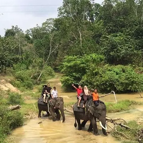 6 Objek wisata alam di Riau ini cocok bagi kamu yang suka berpetualang