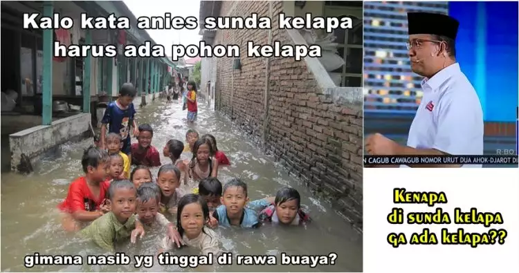 7 Ilustrasi sarkas sindir pernyataan Anies soal kelapa di Sunda Kelapa