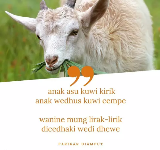 Pantun Jawa baper © 2021 brilio.net