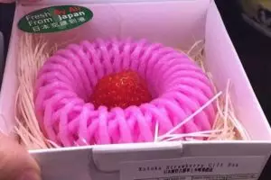 Stroberi ini dijual seharga Rp 300 ribu per buah, apa istimewanya?