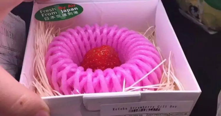 Stroberi ini dijual seharga Rp 300 ribu per buah, apa istimewanya?