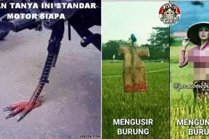15 Meme pecinta burung ini bikin geli-geli gimana gitu