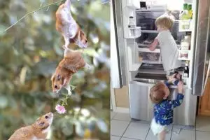 12 Foto ini buktikan jika ingin sukses butuh teamwork, keren