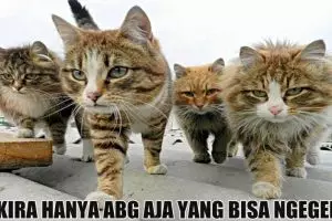 15 Foto kerennya ketika hewan 'nge-geng', gahar abis