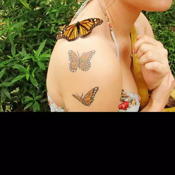 13 Foto hewan ini serba kebetulan, pas banget momennya