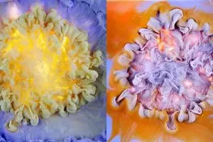 Kamu nggak akan nyangka, 11 foto memukau ini 'ledakan' cairan di air