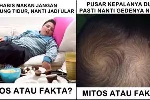 13 Meme 'mitos atau fakta' ini bukti kamu dulu sering dikibulin