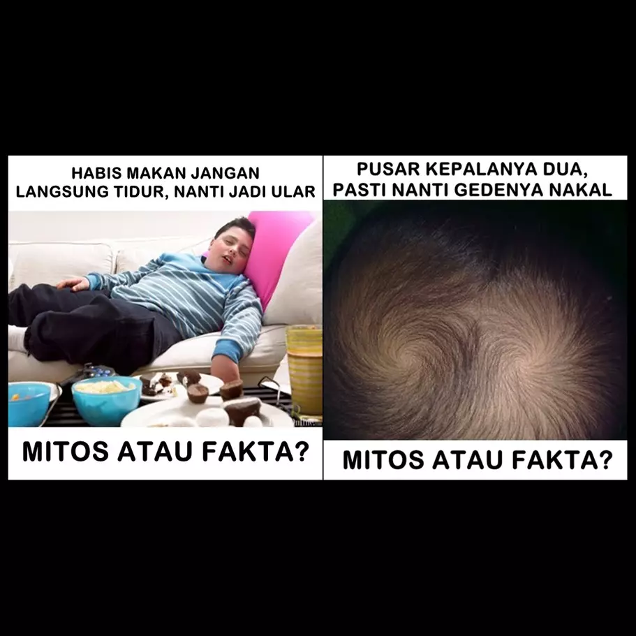 13 Meme 'mitos atau fakta' ini bukti kamu dulu sering dikibulin