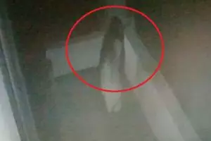 Penampakan sosok berambut panjang ini bikin geger, dibilang Kuntilanak