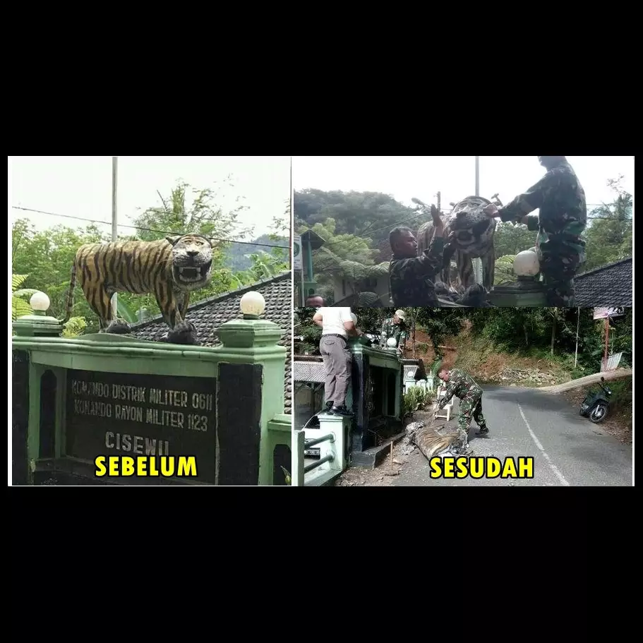 Patung harimau 'paling bahagia sedunia' akhirnya dirobohkan TNI