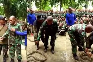 Aksi tentara takut dekati ular ini bikin prihatin tapi juga ketawa
