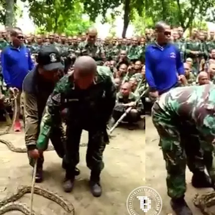 Aksi tentara takut dekati ular ini bikin prihatin tapi juga ketawa