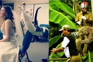 15 Foto detik-detik menegangkan sebelum diserang hewan, duh kasihan