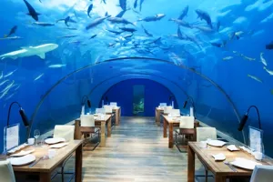 9 Restoran bawah laut ini bikin nggak fokus makan saking indahnya