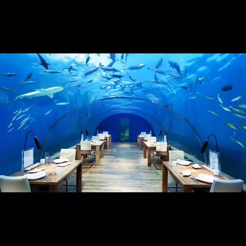 9 Restoran bawah laut ini bikin nggak fokus makan saking indahnya