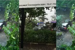 Hujan deras disertai angin, sebuah mobil di kampus UGM tertimpa pohon