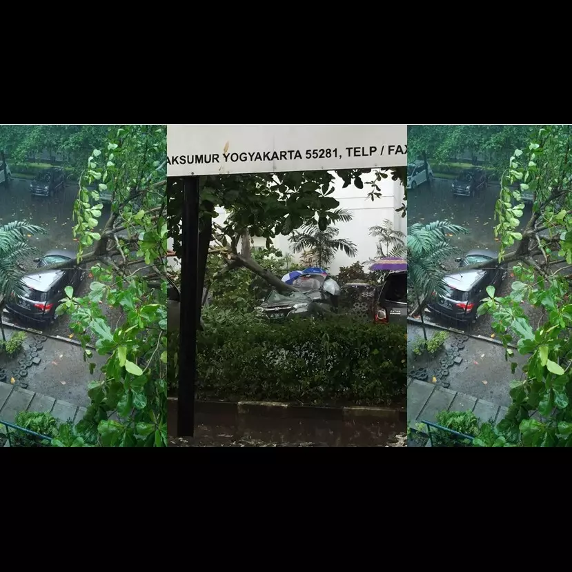 Hujan deras disertai angin, sebuah mobil di kampus UGM tertimpa pohon