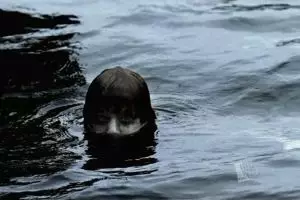 7 Urban legend serem asal Korea ini bisa bikin kamu susah tidur