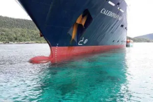 Ini luas terumbu karang Raja Ampat yang rusak gara-gara kapal pesiar