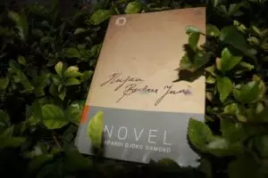 Hujan Bulan Juni akan diadaptasi jadi film, siap-siap nonton ya!