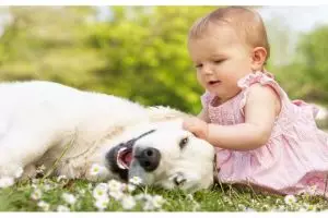 5 Video bukti hewan bisa jadi teman main yang asyik untuk bayi