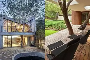 Tak perlu ditebang, 10 rumah berisi pohon ini bisa jadi inspirasi