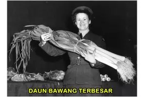 15 Foto jadul tanaman berukuran raksasa ini bikin melongo