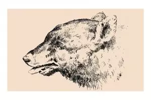 Kamu bisa menemukan wajah lelaki pada gambar ini? Susah-susah gampang