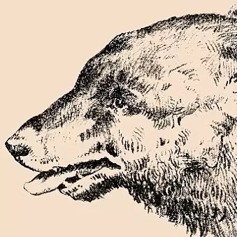 Kamu bisa menemukan wajah lelaki pada gambar ini? Susah-susah gampang