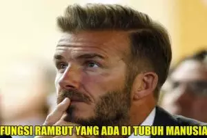 Ini fungsi 6 jenis rambut yang ada di tubuh manusia, kamu tahu nggak?