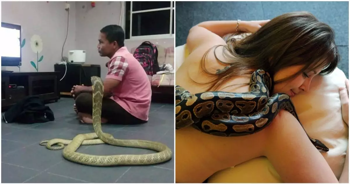 4 Orang ini hidup mesra bareng ular, bikin merinding yang ngelihat