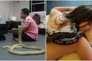 4 Orang ini hidup mesra bareng ular, bikin merinding yang ngelihat