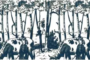 Kamu jenius jika bisa temukan tulisan 'marie' dalam 3 detik