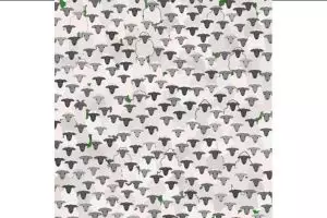 Kamu jago bisa temukan kambing di gambar ini dalam 5 detik, tes yuk