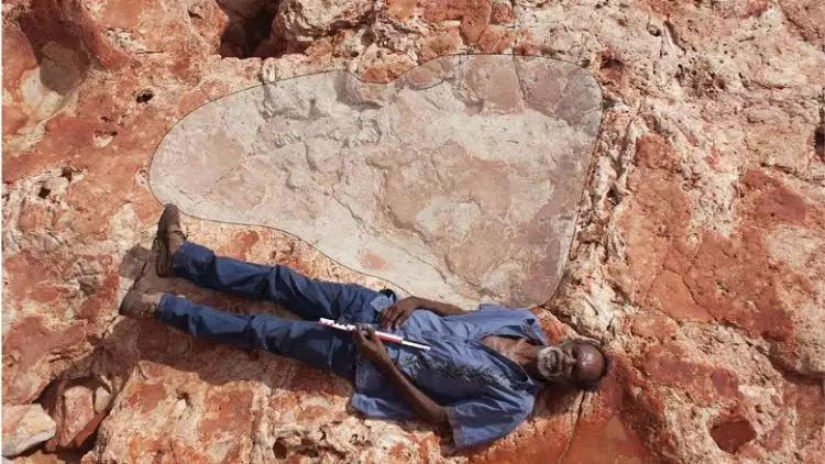 Wow, jejak kaki terbesar dinosaurus ditemukan di Australia