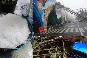 5 Potret kondisi Bandung diguyur hujan es, banyak pohon tumbang