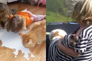 15 Aksi usil anak saat ditinggal sendirian main bareng hewan