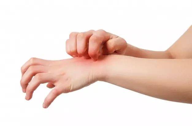 daun kemangi untuk kesehatan © Boldsky dan Healthline daun kemangi untuk kesehatan © Boldsky dan Healthline