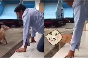 Duel 1 lawan 1 kucing vs manusia ini kocak, endingnya tak terduga