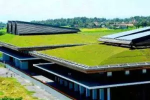 Menengok eksotisme Bandara Blimbingsari, penampakannya adem banget