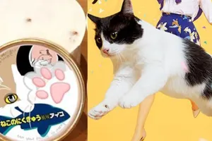 Wow kini ada es krim rasa telapak kaki kucing dan anjing, berani coba?