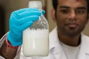 Unik, susu sapi buatan perusahaan ini diproduksi tanpa sapi