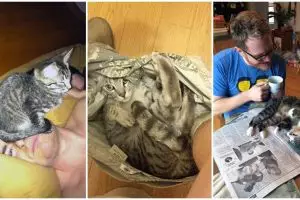 14 Momen saat hewan usik ruang privasimu, bikin ketawa geli 