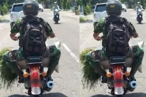 Potret anggota TNI bawa rumput pakai motor butut ini bersahaja banget