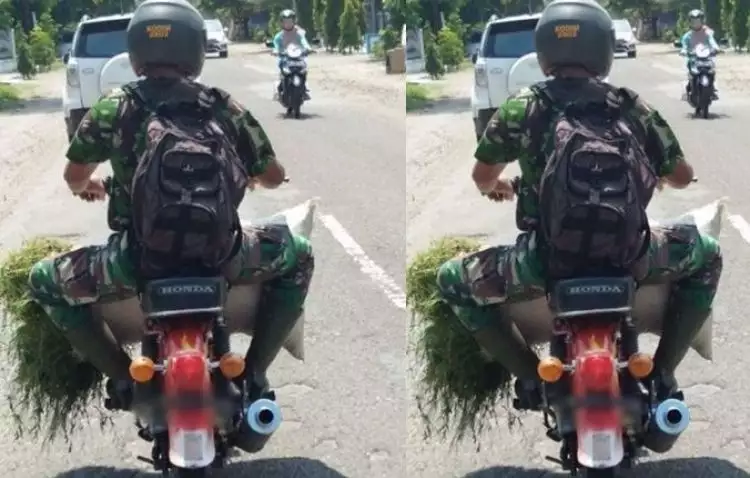 Potret anggota TNI bawa rumput pakai motor butut ini bersahaja banget