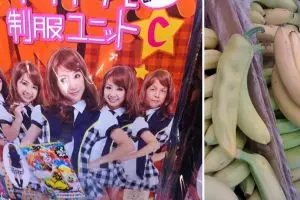 Ada yang salah dengan 15 foto ini, kamu bisa temukan keanehannya?