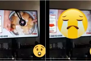 Live demo masak di televisi, panci malah meleduk