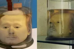 Kepala manusia ini diawetkan di toples sejak 1841, ini alasannya