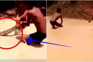 3 Bocah ini nekat memburu ular segede paha, endingnya bikin takjub